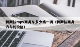 特斯拉mpv商务车多少钱一辆（特斯拉商务汽车的价格）