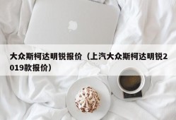 大众斯柯达明锐报价（上汽大众斯柯达明锐2019款报价）