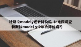 特斯拉modely还会降价吗（e电园调查  特斯拉model y今年会降价吗?）