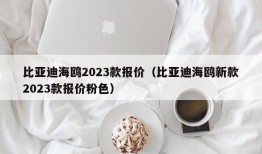 比亚迪海鸥2023款报价（比亚迪海鸥新款2023款报价粉色）