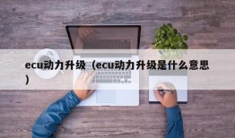 ecu动力升级（ecu动力升级是什么意思）