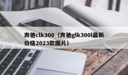 奔驰clk300（奔驰glk300l最新价格2023款图片）