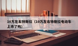 10万左右特斯拉（10万左右特斯拉电动车上市了吗）