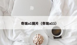 奇瑞a1图片（奇瑞a11）