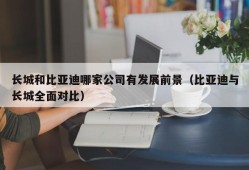 长城和比亚迪哪家公司有发展前景（比亚迪与长城全面对比）