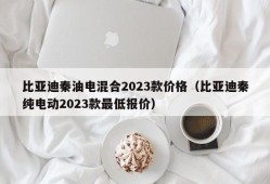 比亚迪秦油电混合2023款价格（比亚迪秦纯电动2023款最低报价）