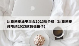 比亚迪秦油电混合2023款价格（比亚迪秦纯电动2023款最低报价）