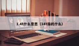 1.4t什么意思（14t指的什么）