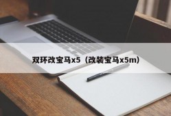 双环改宝马x5（改装宝马x5m）