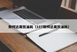 斯柯达昊锐油耗（18T斯柯达昊锐油耗）