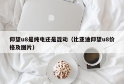 仰望u8是纯电还是混动（比亚迪仰望u8价格及图片）