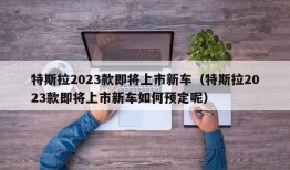 特斯拉2023款即将上市新车（特斯拉2023款即将上市新车如何预定呢）