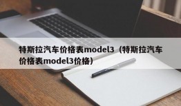 特斯拉汽车价格表model3（特斯拉汽车价格表model3价格）