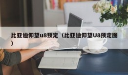 比亚迪仰望u8预定（比亚迪仰望U8预定图）