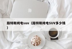 路特斯纯电suv（路特斯纯电SUV多少钱）