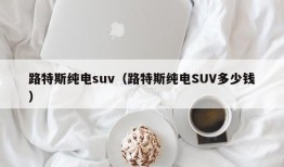 路特斯纯电suv（路特斯纯电SUV多少钱）