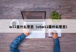 w12是什么意思（v8w12是什么意思）