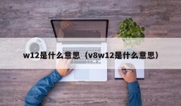 w12是什么意思（v8w12是什么意思）