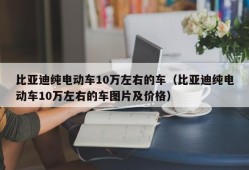 比亚迪纯电动车10万左右的车（比亚迪纯电动车10万左右的车图片及价格）