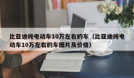 比亚迪纯电动车10万左右的车（比亚迪纯电动车10万左右的车图片及价格）