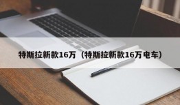 特斯拉新款16万（特斯拉新款16万电车）