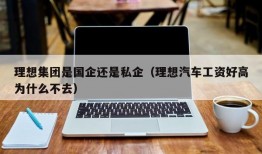 理想集团是国企还是私企（理想汽车工资好高为什么不去）