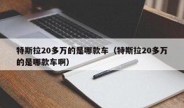 特斯拉20多万的是哪款车（特斯拉20多万的是哪款车啊）