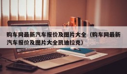 购车网最新汽车报价及图片大全（购车网最新汽车报价及图片大全凯迪拉克）