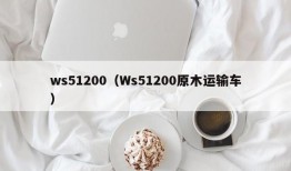 ws51200（Ws51200原木运输车）