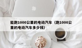 能跑1000公里的电动汽车（跑1000公里的电动汽车多少钱）