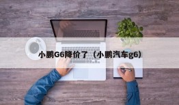 小鹏G6降价了（小鹏汽车g6）