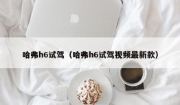 哈弗h6试驾（哈弗h6试驾视频最新款）