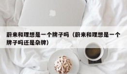 蔚来和理想是一个牌子吗（蔚来和理想是一个牌子吗还是杂牌）