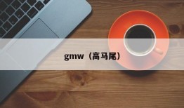 gmw（高马尾）