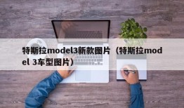 特斯拉model3新款图片（特斯拉model 3车型图片）