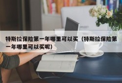 特斯拉保险第一年哪里可以买（特斯拉保险第一年哪里可以买呢）