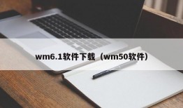 wm6.1软件下载（wm50软件）