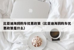 比亚迪海鸥购车优惠政策（比亚迪海鸥购车优惠政策是什么）