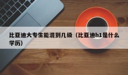 比亚迪大专生能混到几级（比亚迪h1是什么学历）