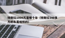 特斯拉1000万是哪个车（特斯拉100多万的车是啥样的）