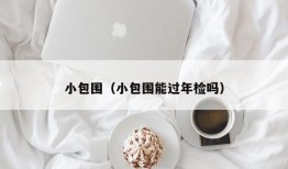 小包围（小包围能过年检吗）