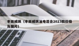 丰田威飒（丰田威飒油电混合2023款价格及图片）