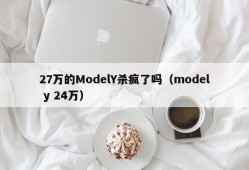 27万的ModelY杀疯了吗（model y 24万）