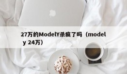 27万的ModelY杀疯了吗（model y 24万）