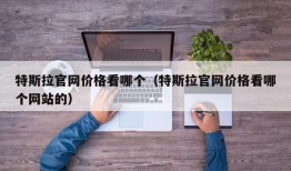 特斯拉官网价格看哪个（特斯拉官网价格看哪个网站的）