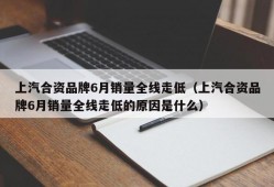 上汽合资品牌6月销量全线走低（上汽合资品牌6月销量全线走低的原因是什么）