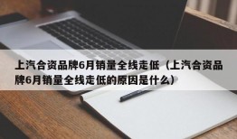 上汽合资品牌6月销量全线走低（上汽合资品牌6月销量全线走低的原因是什么）