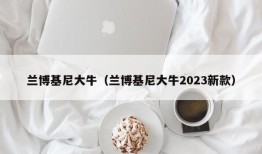 兰博基尼大牛（兰博基尼大牛2023新款）