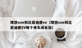 理想one和比亚迪唐ev（理想one和比亚迪唐EV哪个用车成本低）