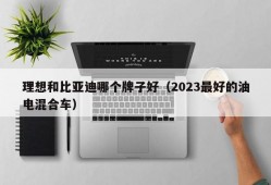 理想和比亚迪哪个牌子好（2023最好的油电混合车）